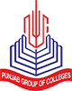 Punjab Group of Colleges Logo